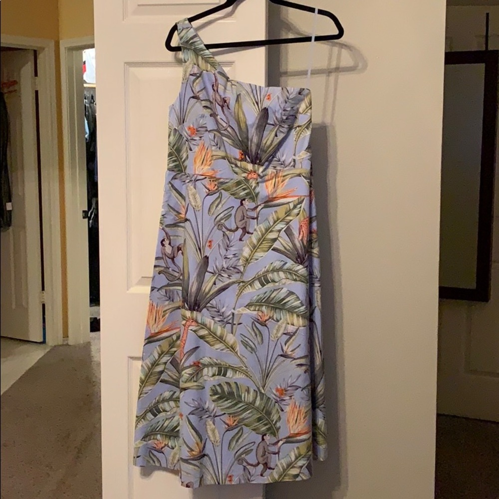 Ann Taylor Tropical One Shoulder Dress